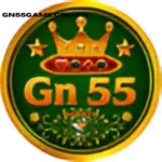 gn55 safe game