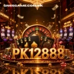 PK12888