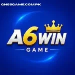 A6Win
